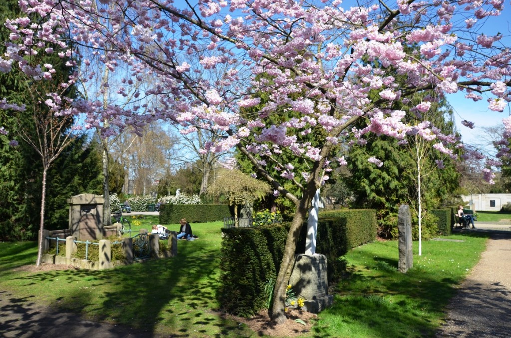 kopenhagen assistens kirkegard