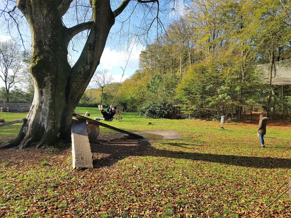 wow park boomschommel