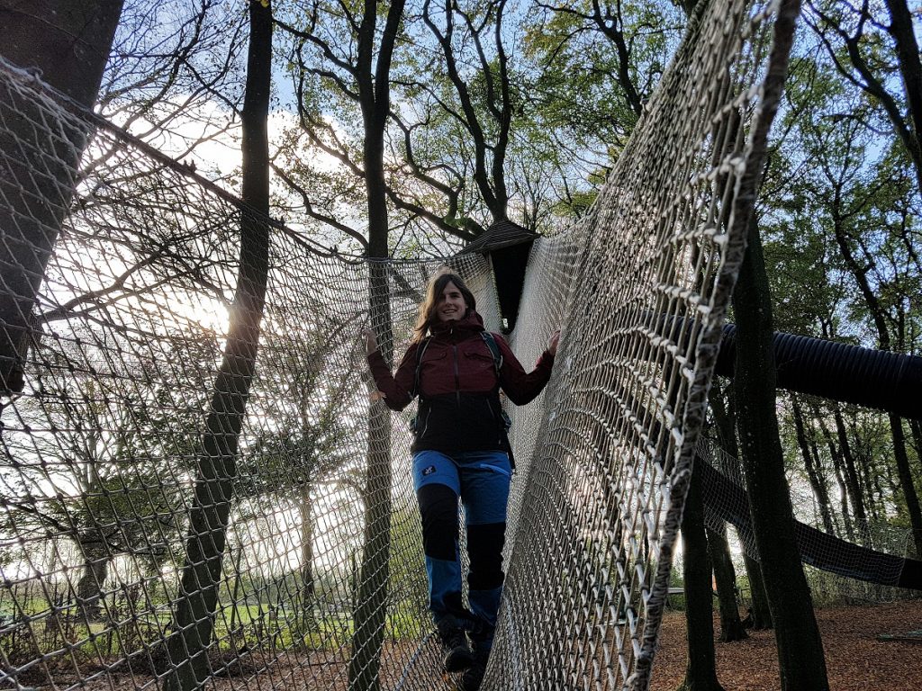 revolutionrace wow park
