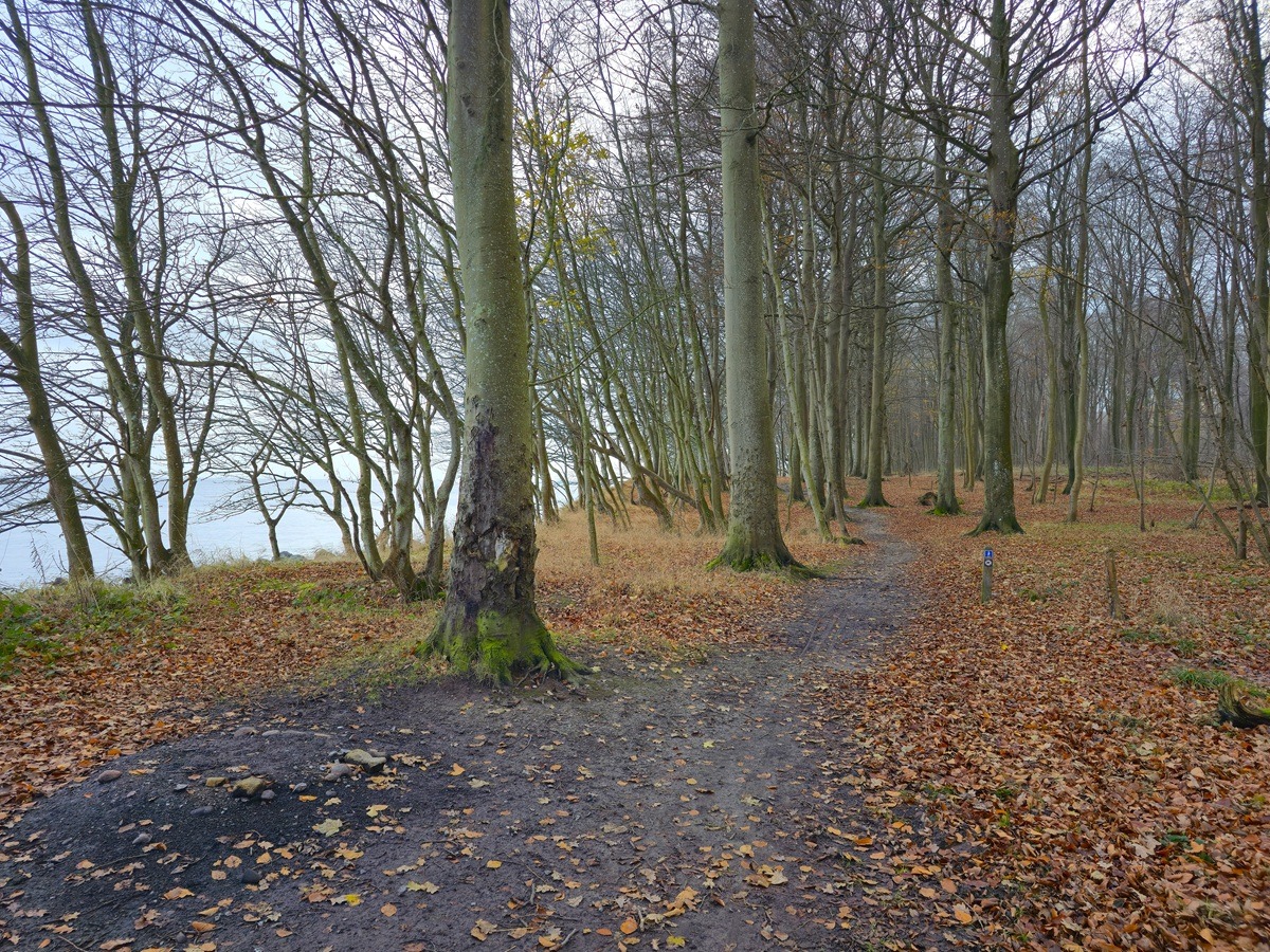 wandelen bij vuurtoren taksensand