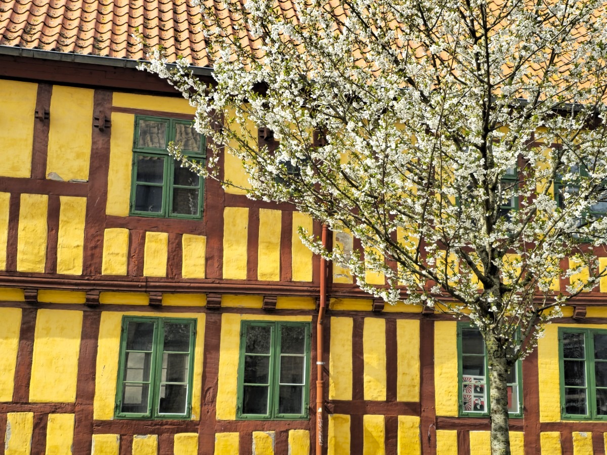 vakwerkhuizen in aarhus