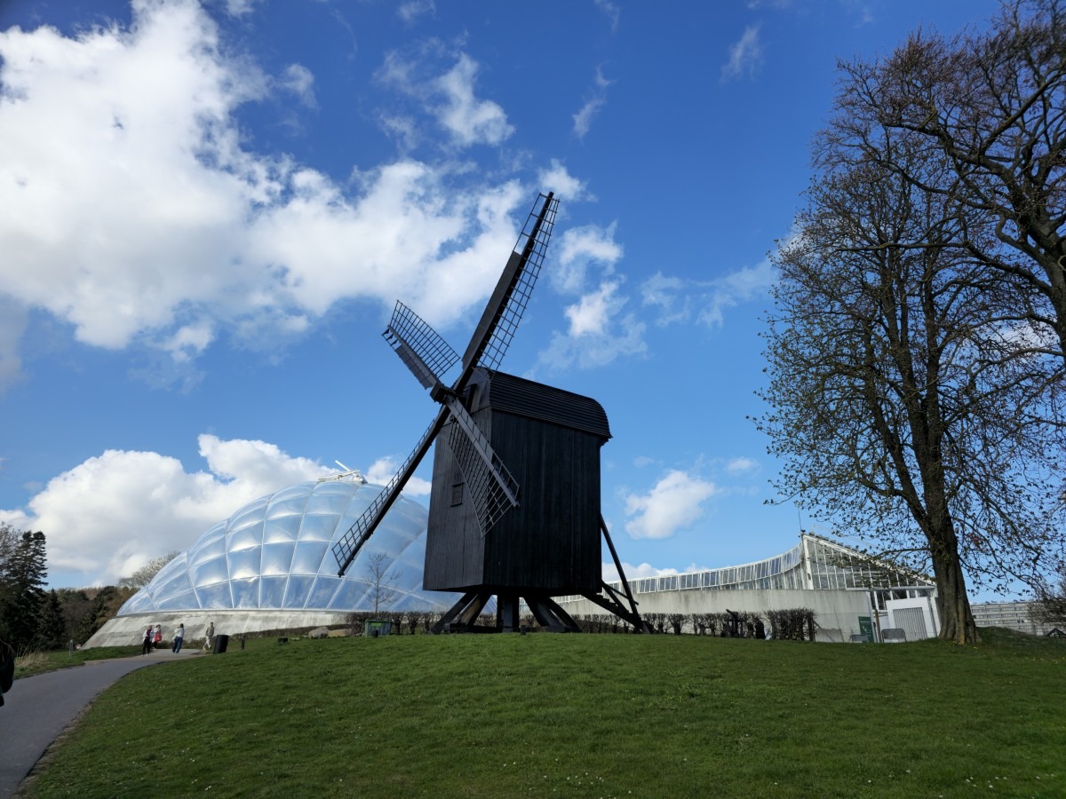 molen in Aarhus