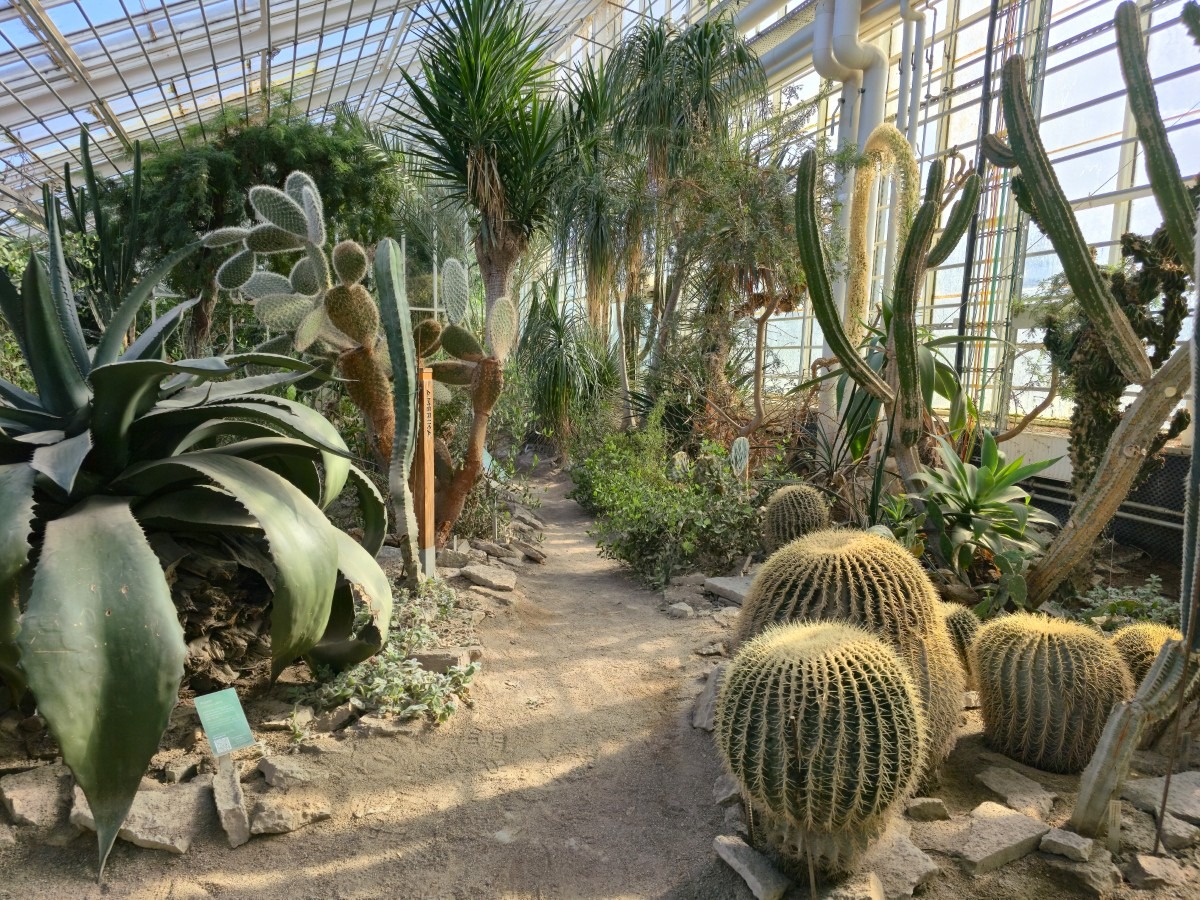 botantische tuin in aarhus