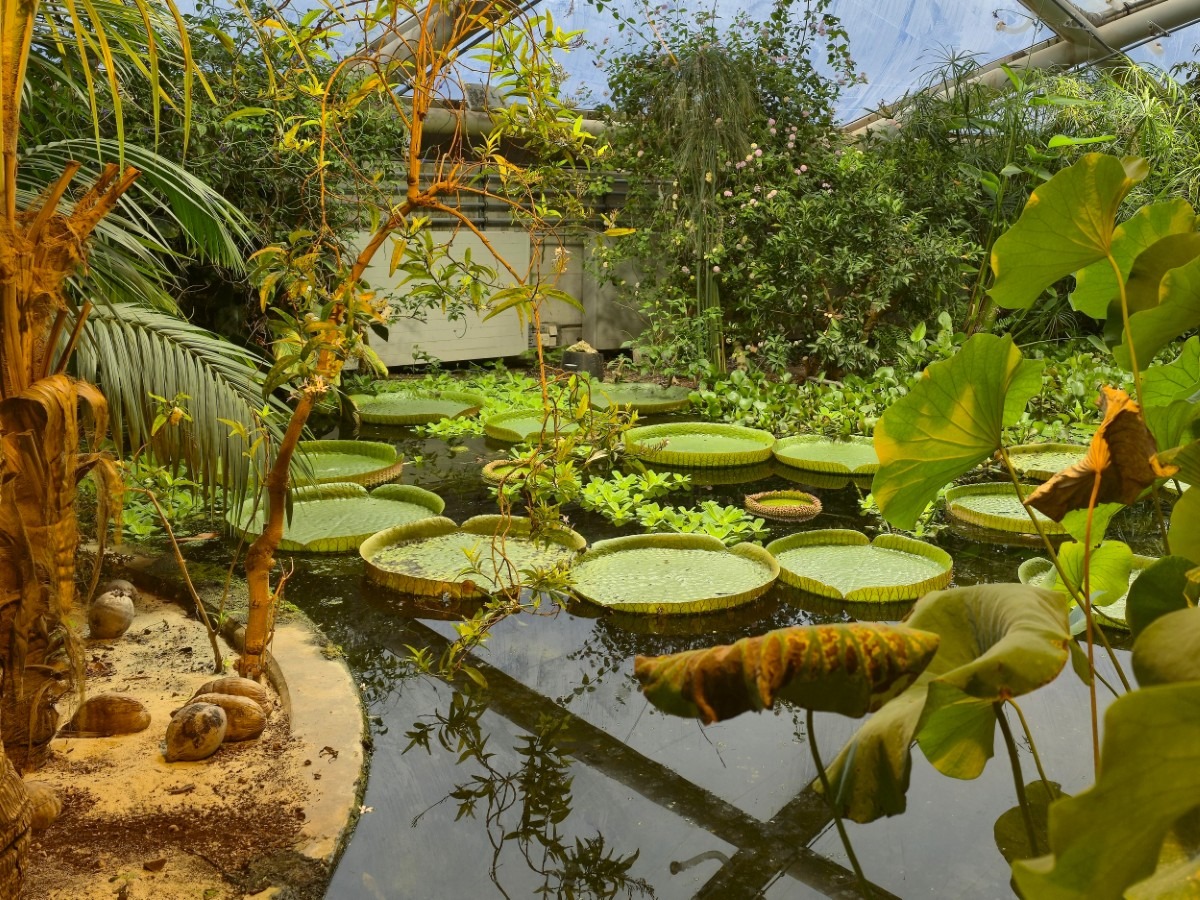 botantische tuin in aarhus