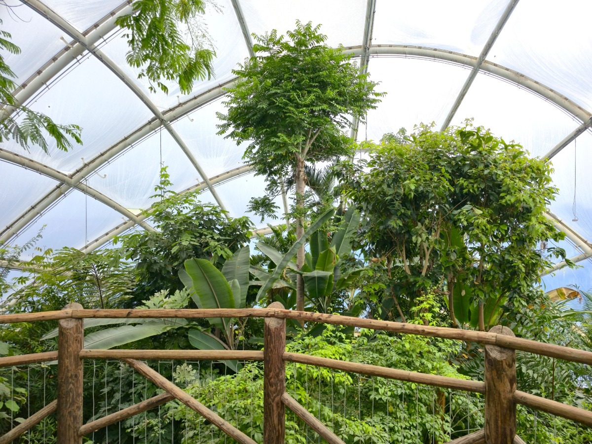 botantische tuin in aarhus