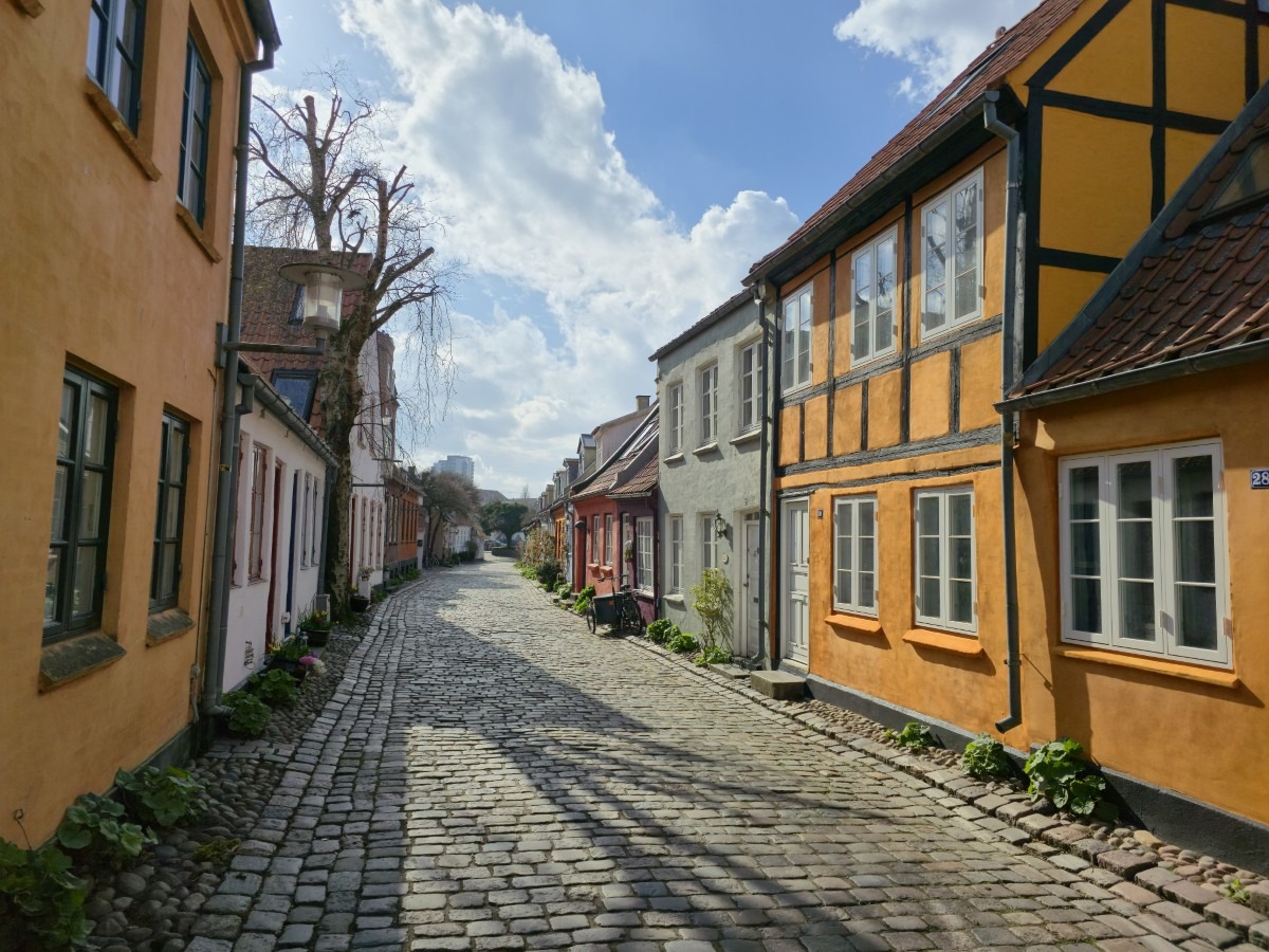 mollestien in aarhus