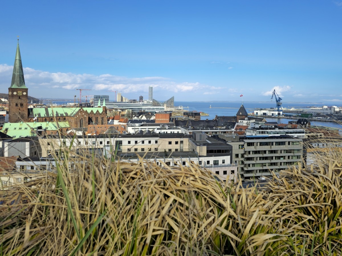eten en drinken in aarhus